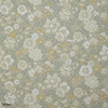 Lichen
