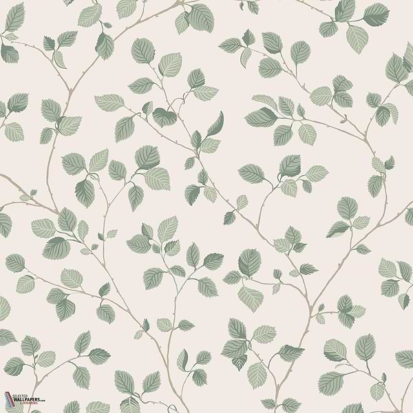 Bokskog Tapete-Sandberg-Garden Green-Rolle-Selected Wallpapers-Interiors