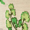 Botanique wallpaper-Pierre Frey-Selected-Wallpapers-Interiors
