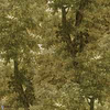 Branchy-wallpaper-Mind the Gap-Autumn-Roll-WP20784-Selected Wallpapers