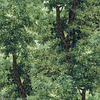 Branchy-wallpaper-Mind the Gap-Meadow Green-Roll-WP20785-Selected Wallpapers