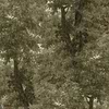 Branchy-wallpaper-Mind the Gap-Neutral-Roll-WP20786-Selected Wallpapers