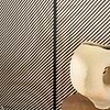 Buri wallpaper-CMO Paris-Selected Wallpapers-Interiors