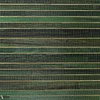 Casalian wallpaper-Arte-Evergreen-Meter (M1)-Selected-Wallpapers-Interiors