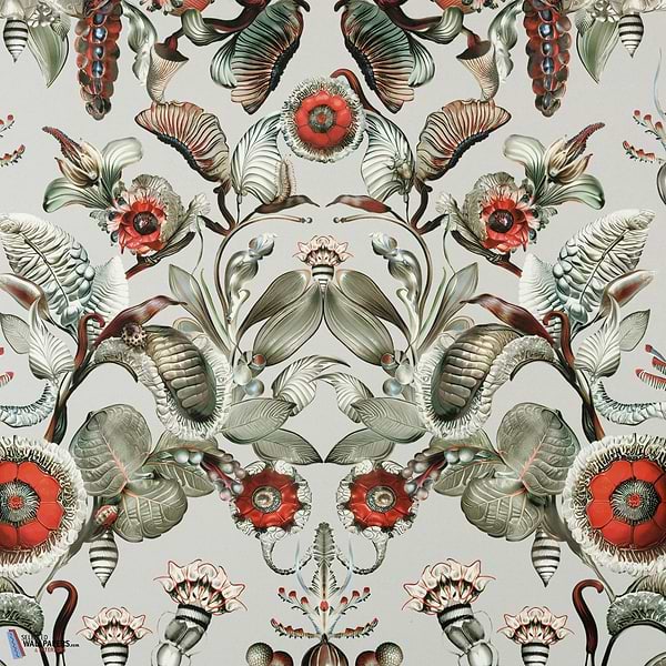 Coccinella Bella-Moooi-Tapete-Stone Grey-Meter (M1)-Selected-Wallpapers-Interiors