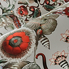 Coccinella Bella-Moooi-behang-Selected-Wallpapers-Interiors