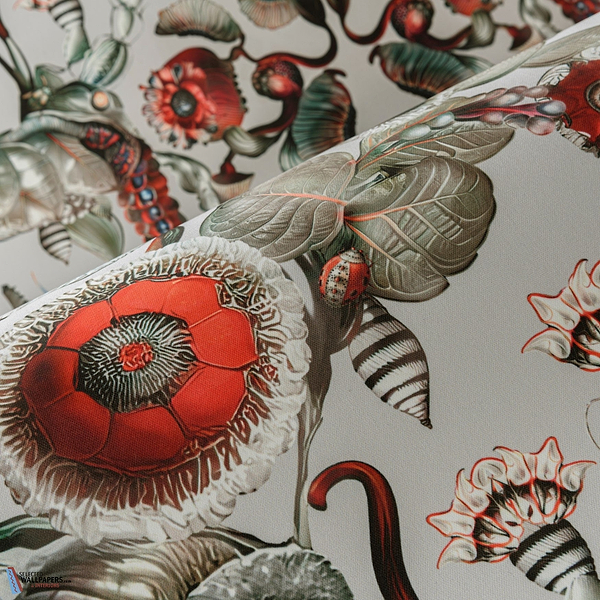 Coccinella Bella-Moooi-behang-Selected-Wallpapers-Interiors