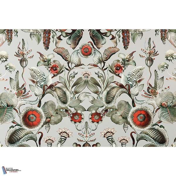 Coccinella Bella-Moooi-Tapete-Selected-Wallpapers-Interiors