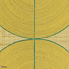 Courbes wallpaper-Elitis-20-Roll-Selected-Wallpapers-Interiors