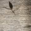 Crin de Soie Mural wallpaper-CMO Paris-Selected Wallpapers-Interiors