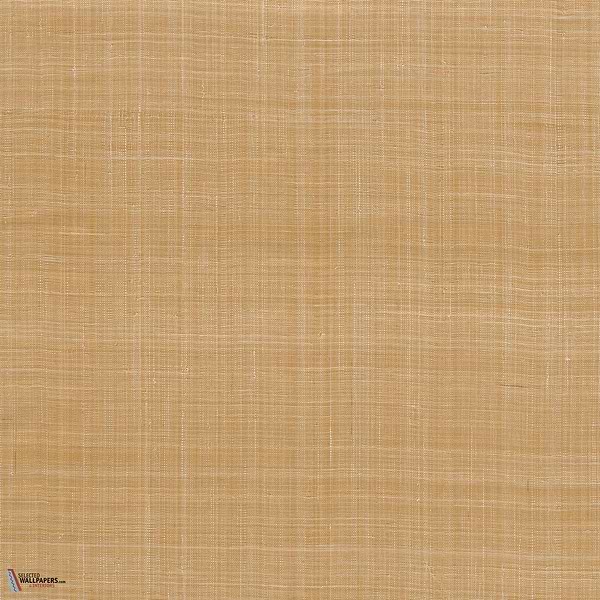 Diffuse wallpaper-Arte-Burnt Orange-Meter (M1)-Selected Wallpapers-Interiors