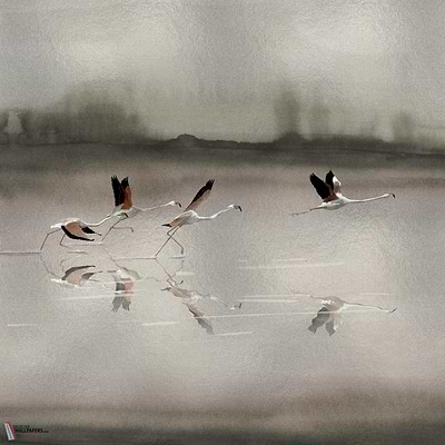 Doñana wallpaper-Coordonne-Silver-Metallics-M2-Selected Wallpapers-Interiors