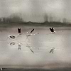 Doñana wallpaper-Coordonne-Silver-Metallics-M2-Selected Wallpapers-Interiors