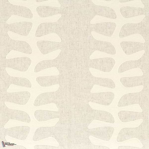 Lin