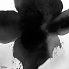 Eclipse Bloom wallpaper-LondonArt-2-RAW-S120-M2-Selected Wallpapers & Interiors