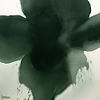 Eclipse Bloom wallpaper-LondonArt-3-RAW-S120-M2-Selected Wallpapers & Interiors