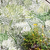 Eldorado wallpaper-Wallpaper-Pierre Frey-Selected Wallpapers & Interiors