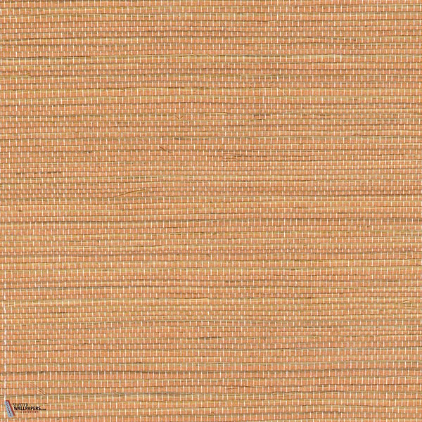 Favoris wallpaper-Elitis-11-Roll-Selected-Wallpapers-Interiors