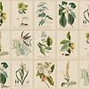 Flora Tapete-Sandberg-Green-Mattic-M2-Selected Wallpapers-Interiors