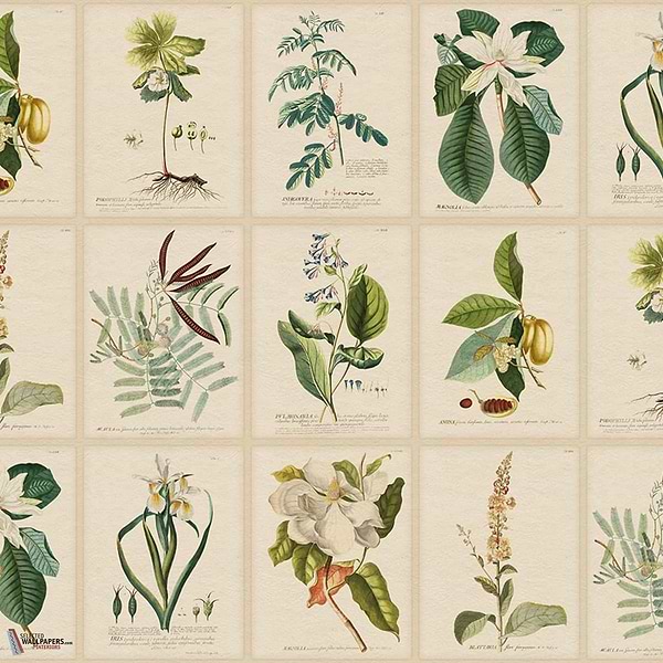 Flora Tapete-Sandberg-Green-Mattic-M2-Selected Wallpapers-Interiors