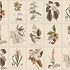 Flora Tapete-Sandberg-Sepia-Mattic-M2-Selected Wallpapers-Interiors