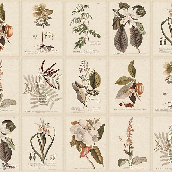 Flora Tapete-Sandberg-Sepia-Mattic-M2-Selected Wallpapers-Interiors