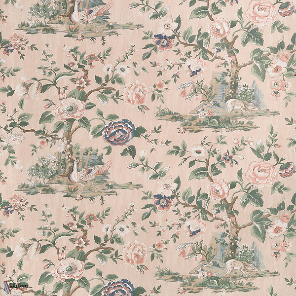 Apricot