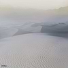 Gibran wallpaper-Armani/Casa-9921-Set-Selected-Wallpapers-Interiors