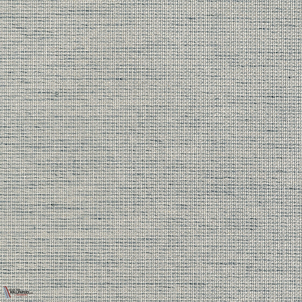 Grey Fog