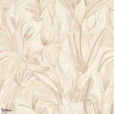 Beige Poudré