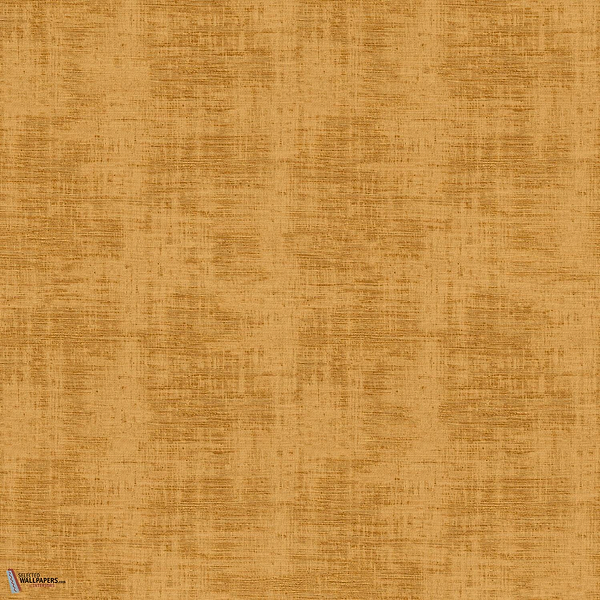 210226