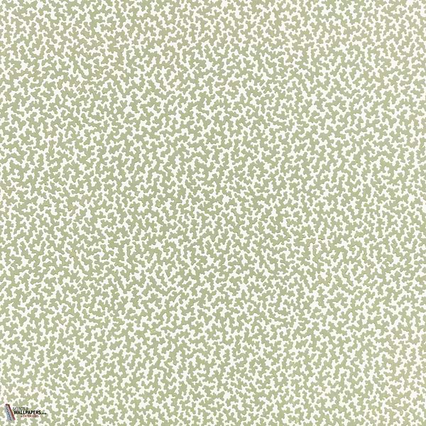 Junie Tapete-Romo-Aloe-Rolle-Selected Wallpapers-Interiors