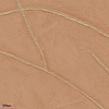 Kintsugi wallpaper-Elitis-51-Roll-Selected-Wallpapers-Interiors