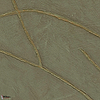 Kintsugi wallpaper-Elitis-62-Roll-Selected-Wallpapers-Interiors