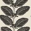 Lacinato wallpaper-Thibaut-Basalt black-Roll-Selected Wallpapers-Interiors