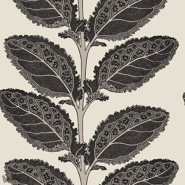 Lacinato wallpaper-Thibaut-Basalt black-Roll-Selected Wallpapers-Interiors