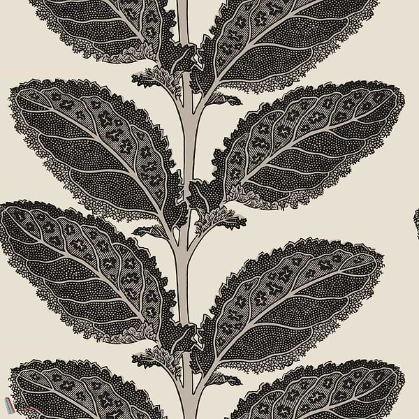 Lacinato wallpaper-Thibaut-Basalt black-Roll-Selected Wallpapers-Interiors