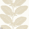 Lacinato wallpaper-Thibaut-Birch-Roll-Selected Wallpapers-Interiors