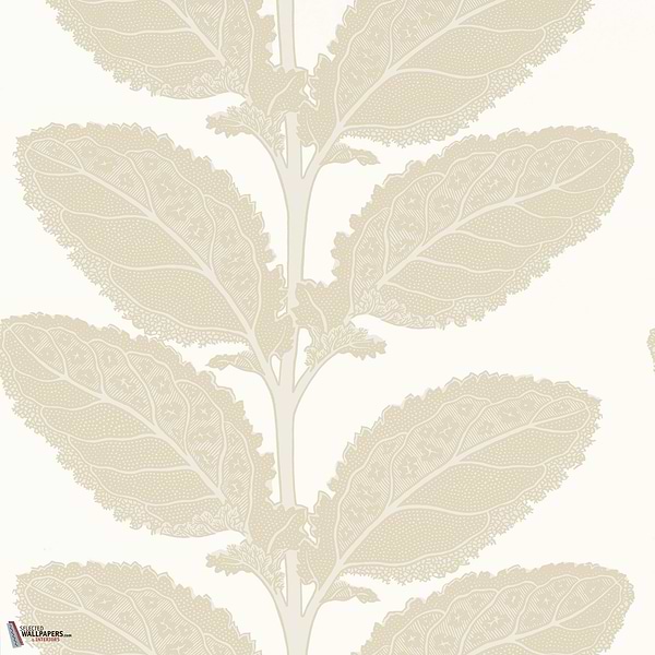 Lacinato wallpaper-Thibaut-Birch-Roll-Selected Wallpapers-Interiors