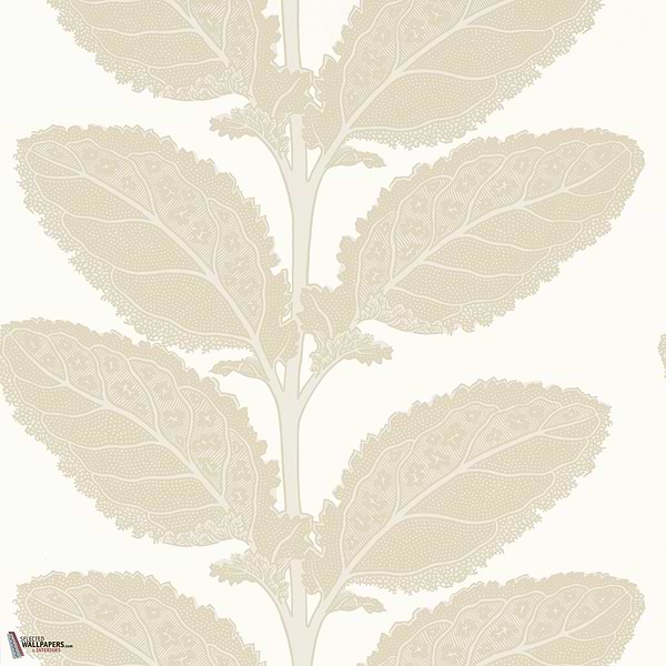 Lacinato wallpaper-Thibaut-Birch-Roll-Selected Wallpapers-Interiors