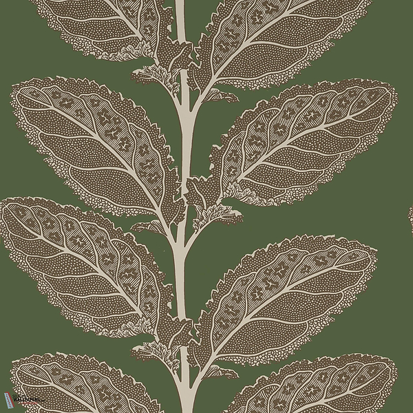 Lacinato wallpaper-Thibaut-Wild sage-Roll-Selected Wallpapers-Interiors