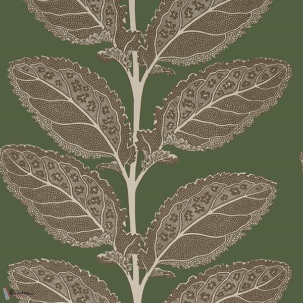Lacinato wallpaper-Thibaut-Wild sage-Roll-Selected Wallpapers-Interiors