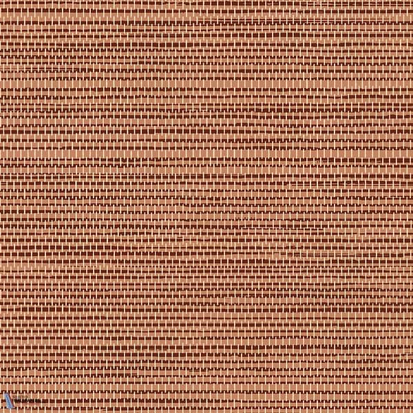 Le Sisal-Tapete-Arte-Terracotta-Rolle-26709-Selected Wallpapers