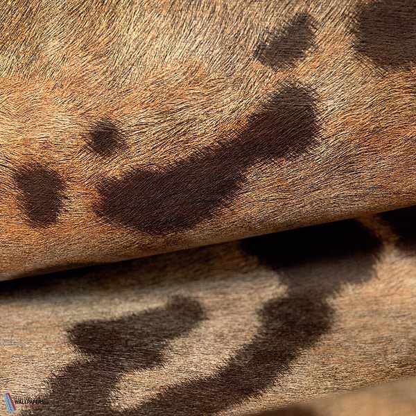 Leopard wallpaper-Elitis-Selected Wallpapers & Interiors