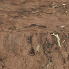 Liege wallpaper-CMO Paris-Or Naturel-Roll-Selected-Wallpapers-Interiors