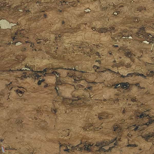 Liege wallpaper-CMO Paris-Or Kaki-Roll-Selected-Wallpapers-Interiors