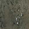 Liege wallpaper-CMO Paris-Argent Epicea-Roll-Selected-Wallpapers-Interiors