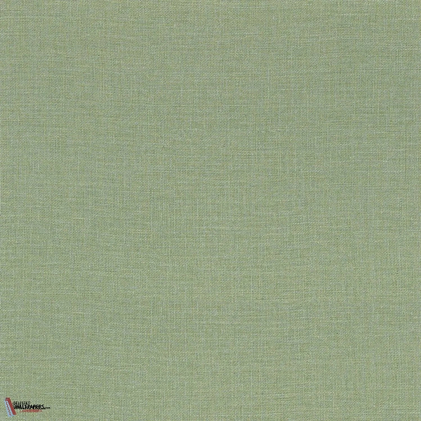 Lienzo-Casamance-Tapete-Cactus-Rolle-Selected Wallpapers