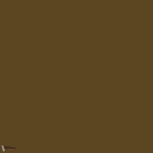 Light Bronze Green paint Little Greene 123-Selected-Wallpapers-Interiors