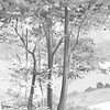 L'orée du bois wallpaper-Les Dominotiers-Selected Wallpapers-Interiors